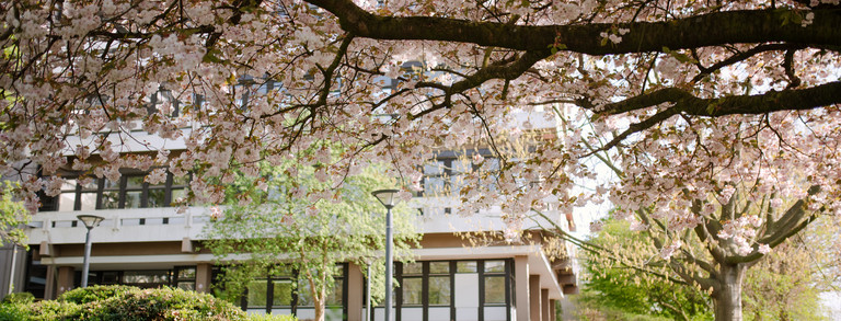 Gebäude der TU Dortmund umgeben von blühenden Bäumen.