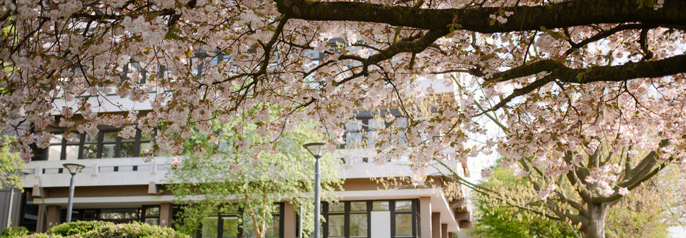 TU Dortmund University building surrounded by flowering trees.
