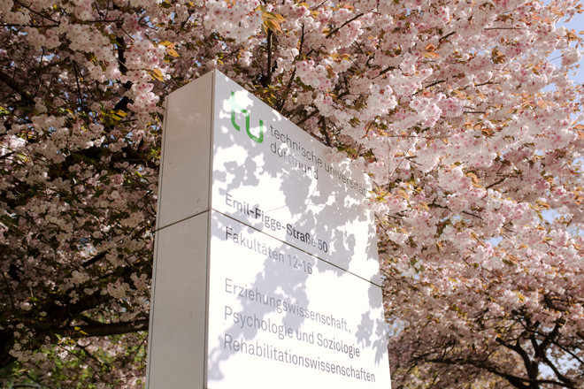 Eine TU Infosäule umgeben von einem blühenden Kirschblütenbaum. 
